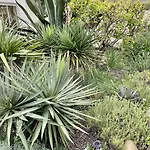 Cit'hotel Amerique Palavas-les-Flots